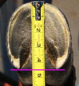 Sådan måler man hoven til boots.